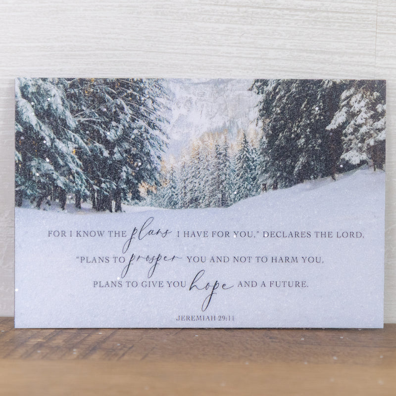 Hope And A Future Magnet - NS399M