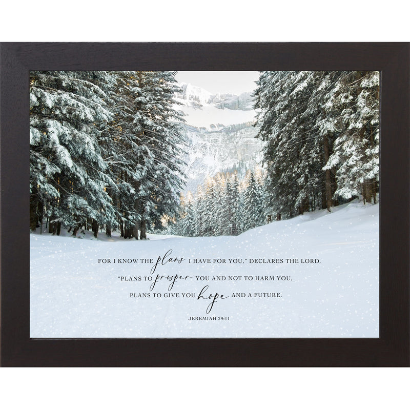 For I Know The Plans I have For You by Summer Snow NS399