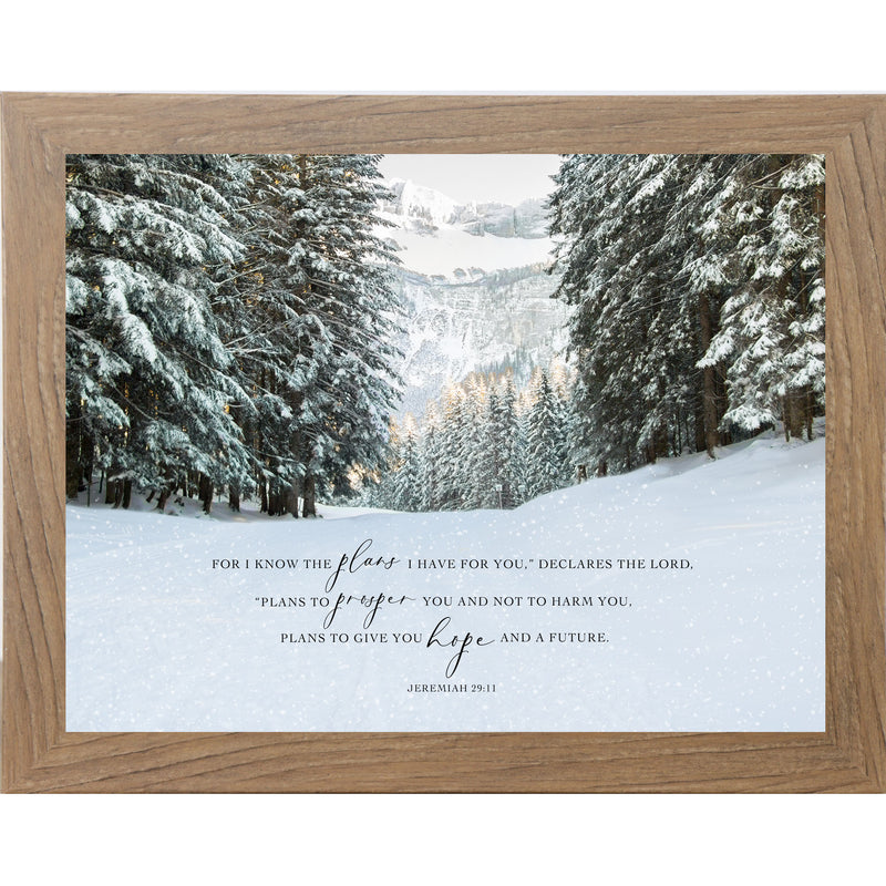 For I Know The Plans I have For You by Summer Snow NS399