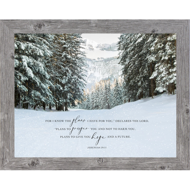 For I Know The Plans I have For You by Summer Snow NS399