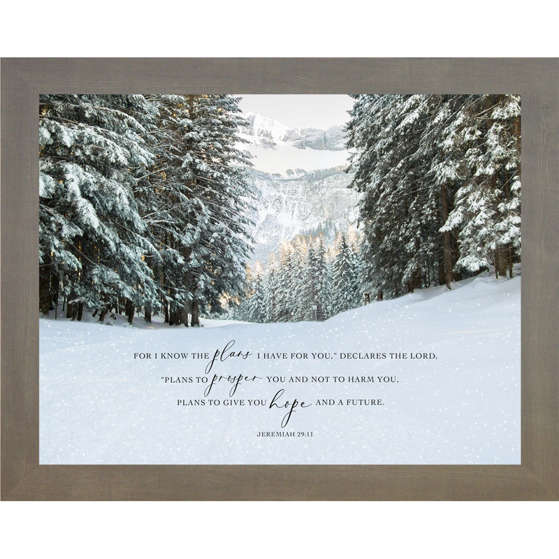 For I Know The Plans I have For You by Summer Snow NS399