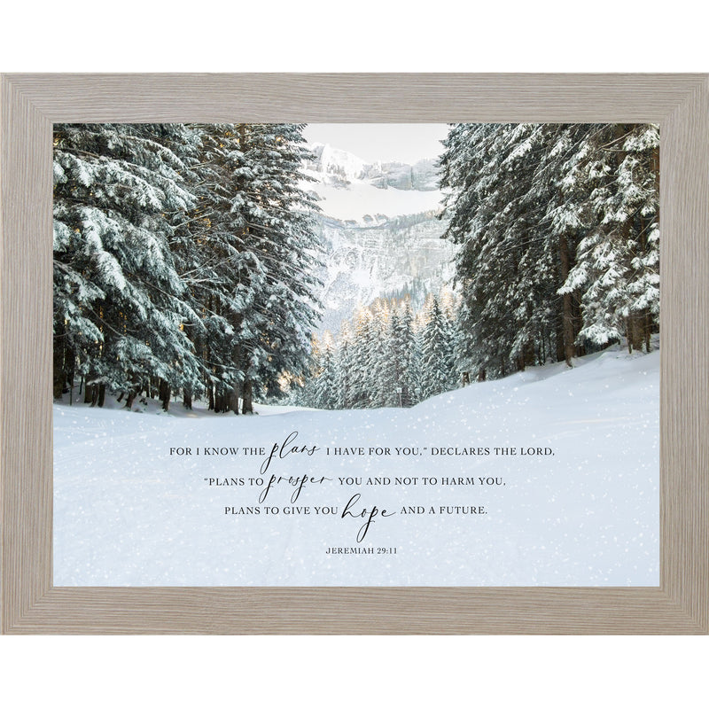 For I Know The Plans I have For You by Summer Snow NS399