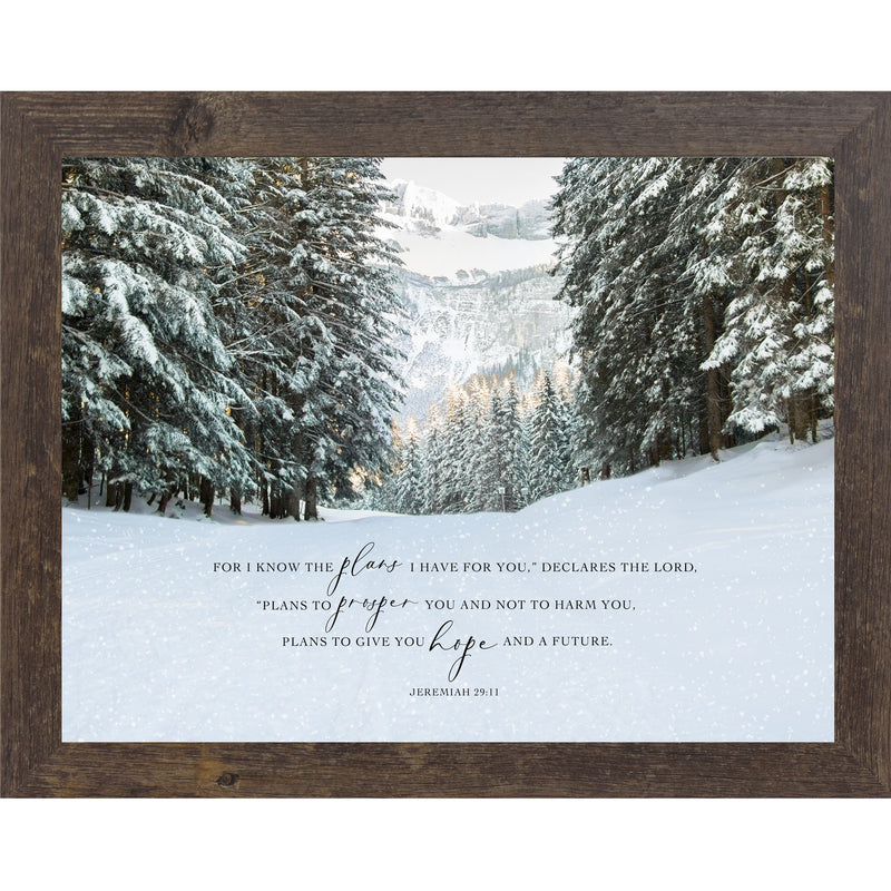 For I Know The Plans I have For You by Summer Snow NS399