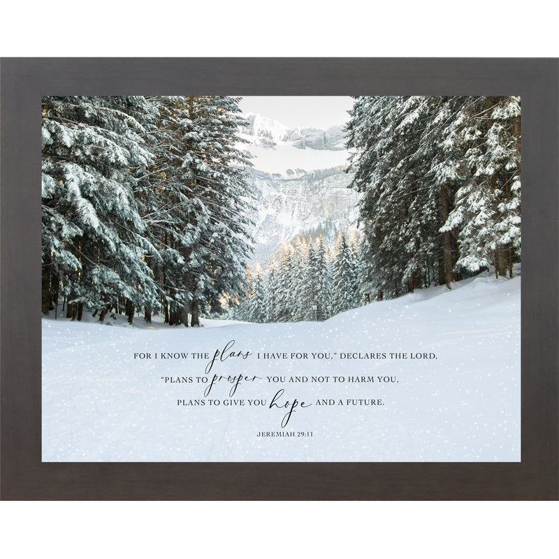 For I Know The Plans I have For You by Summer Snow NS399