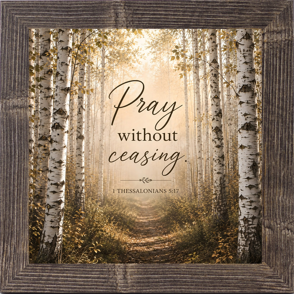 Natural brown framed square Christian wall art featuring a sunlit birch forest path with the words "Pray Without Ceasing" 1 Thessalonians 5:17