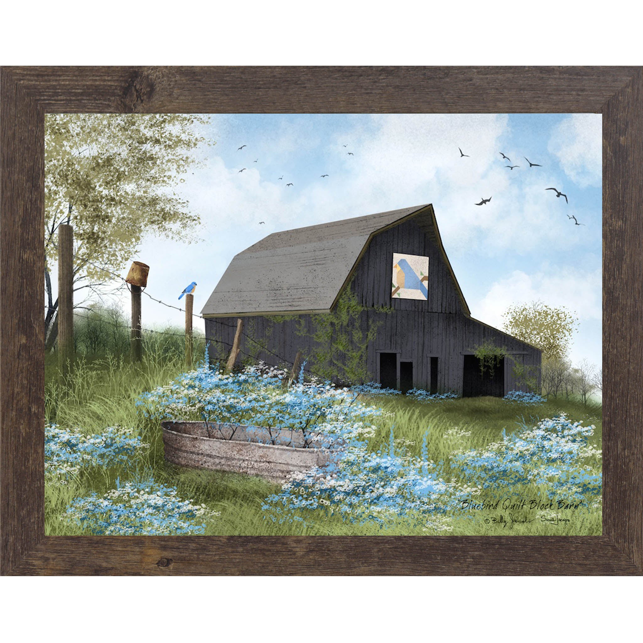 Natural brown framed Billy Jacobs Bluebird Quilt Block Barn wall art featuring a weathered gray gambrel barn with a bluebird quilt block on its face surrounded by blue and white wildflowers a metal stock tank a bluebird on a fence post and spring trees