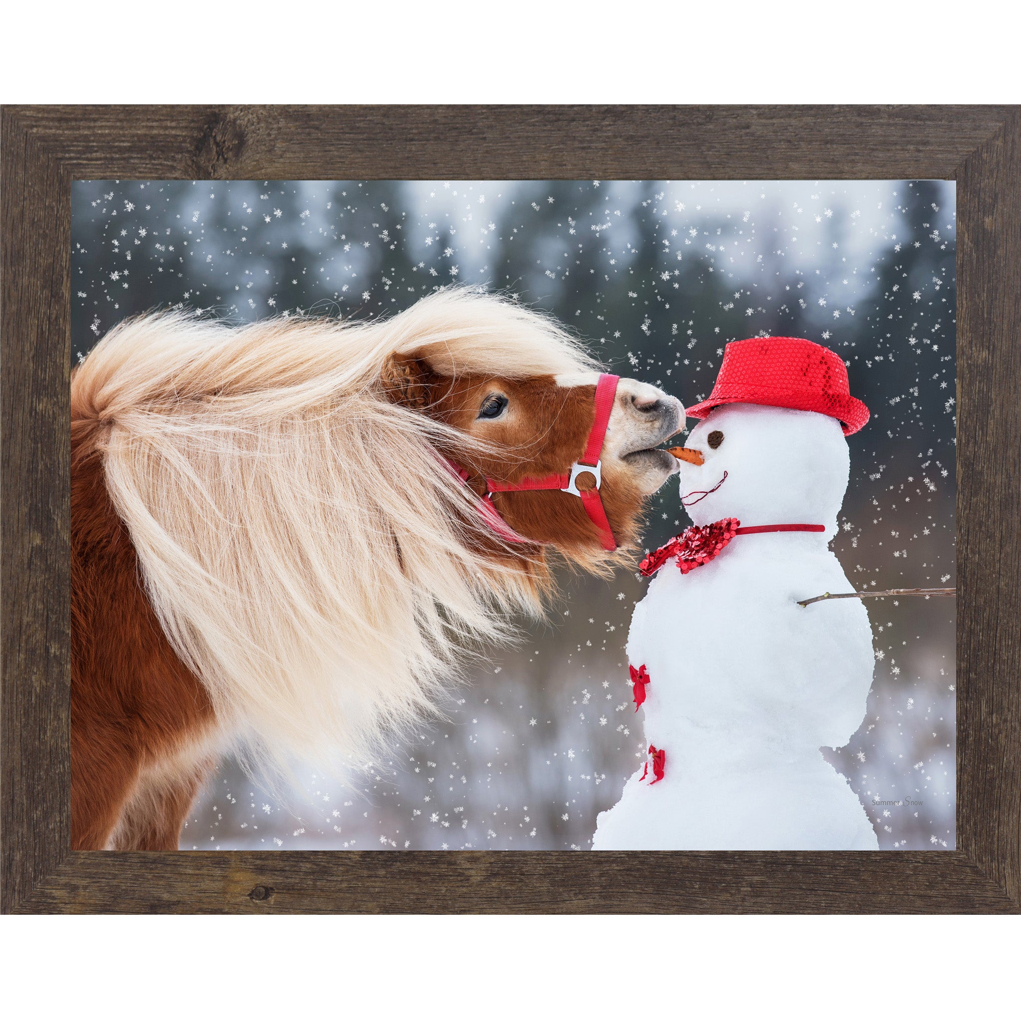 Natural Brown framed landscape equine wall art featuring a chestnut Haflinger pony with flowing blonde mane stealing a carrot from a red-hatted snowman in falling snow — Can't Resist SN338