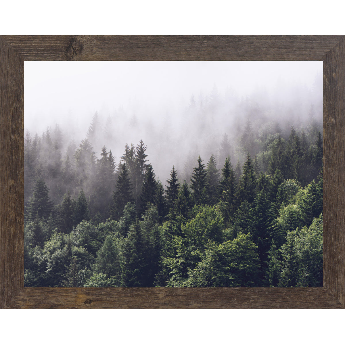 Natural Brown framed horizontal nature wall art featuring a dense evergreen pine forest disappearing into rolling mountain fog with deep green canopies fading to pale misty silhouettes