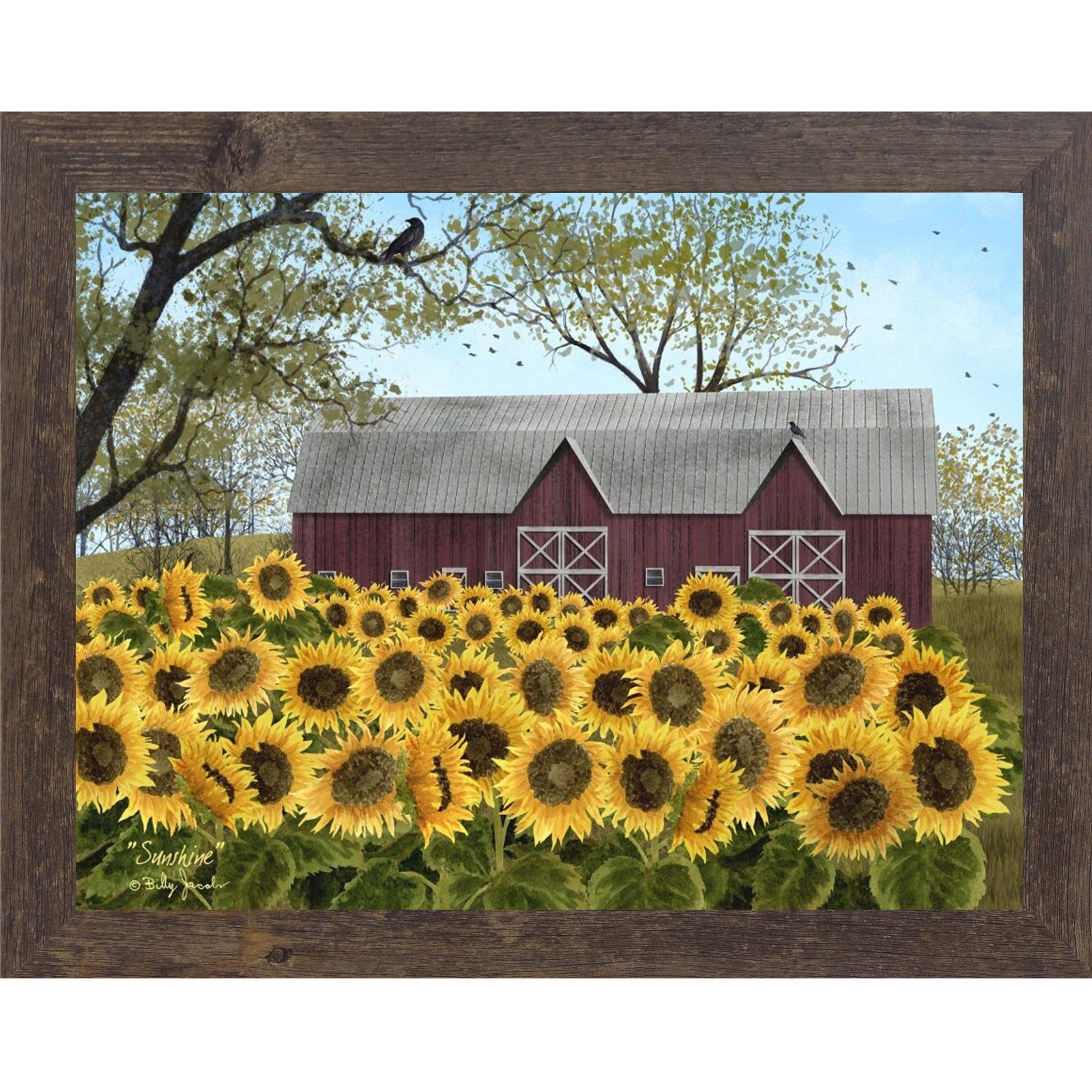 Natural brown framed Billy Jacobs Sunshine wall art featuring a sweeping field of golden sunflowers in full bloom before a classic red barn with white cross doors bare tree branches with a crow and pale blue sky
