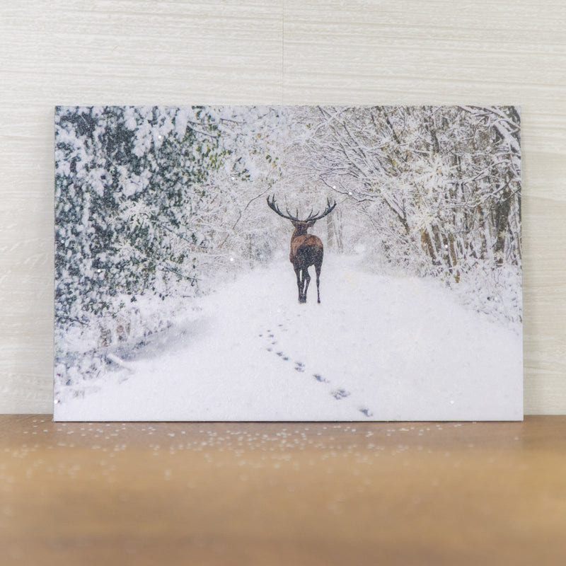 Snow Tracks Magnet - SA426M