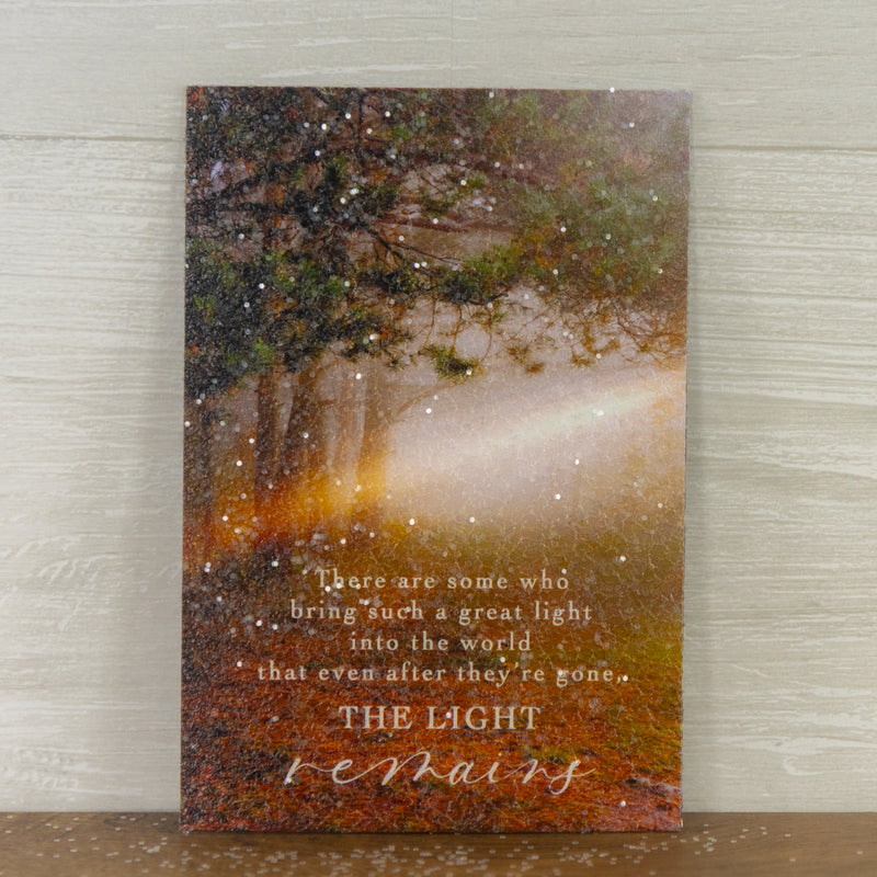 The Light Remains Magnet - SN124M