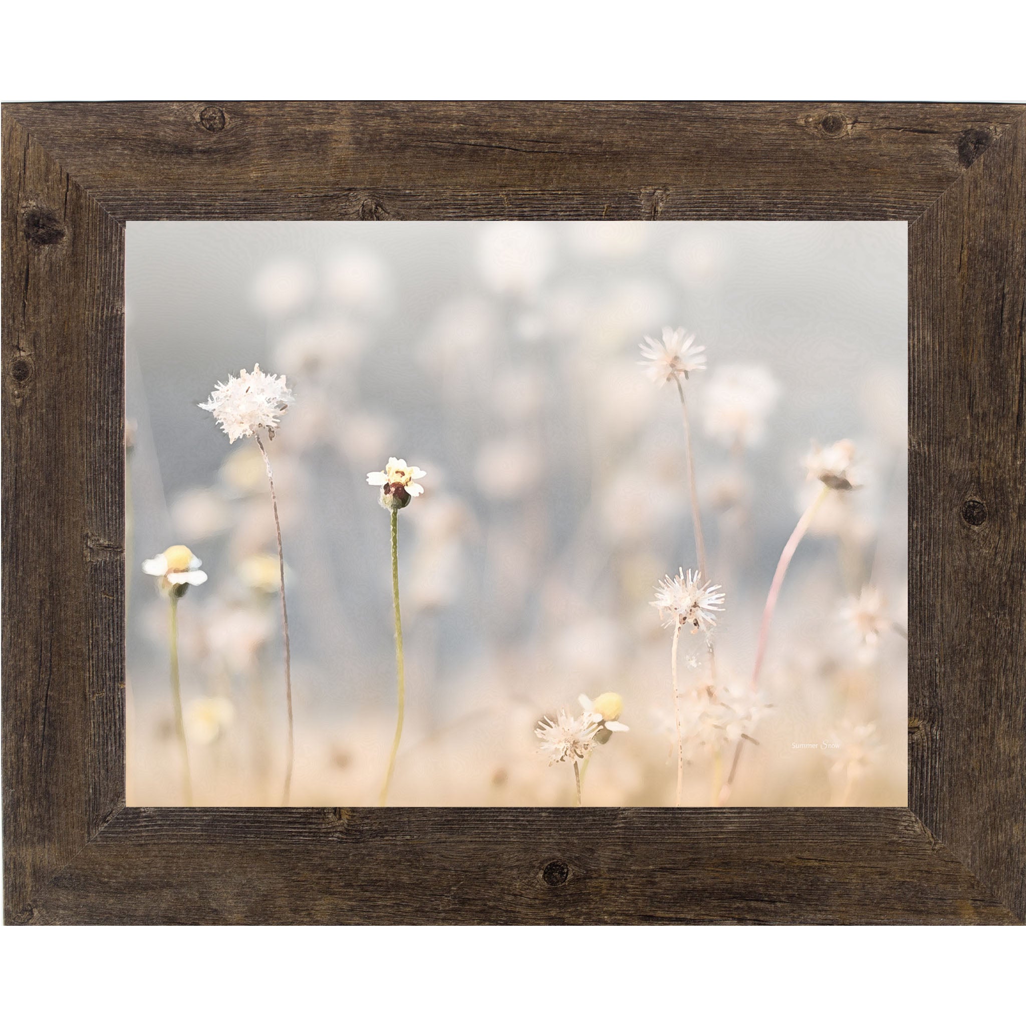 Choose A Saying by Summer Snow SN301