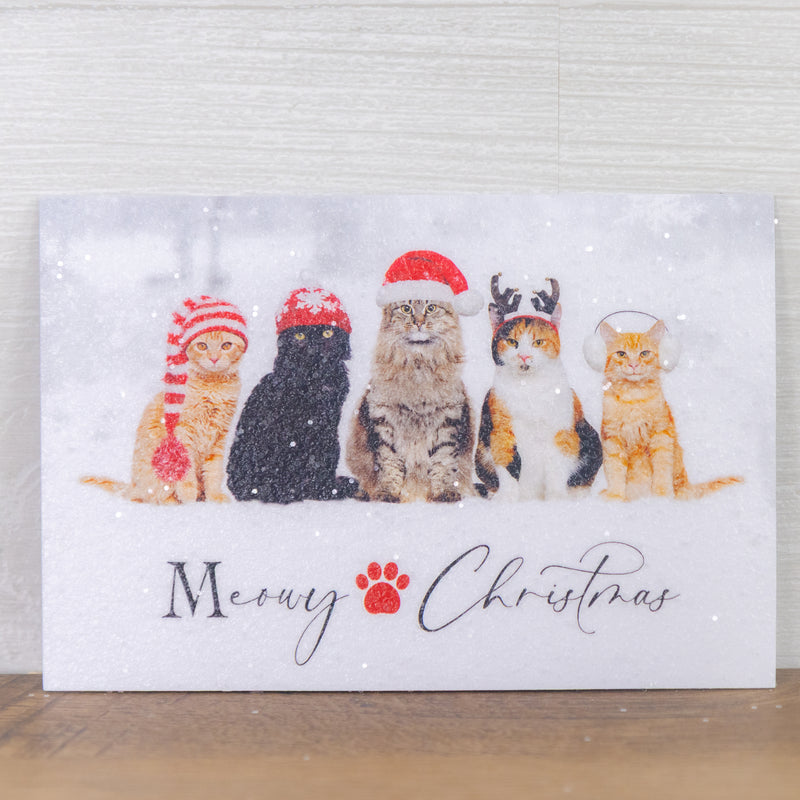 Meowy Christmas Magnet - SN59M