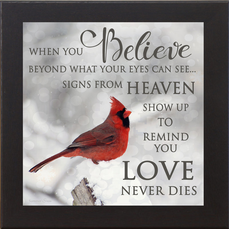 When You Believe by Summer Snow SS6848