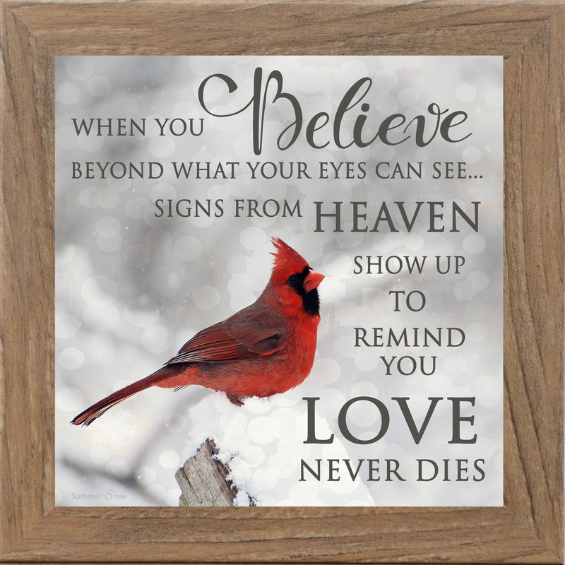 When You Believe by Summer Snow SS6848