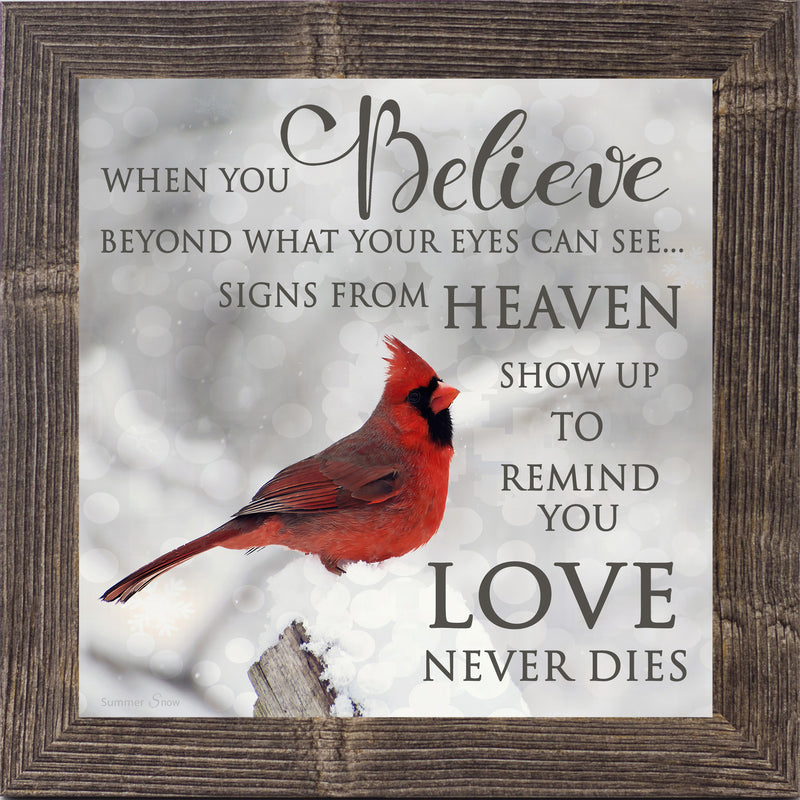 When You Believe by Summer Snow SS6848