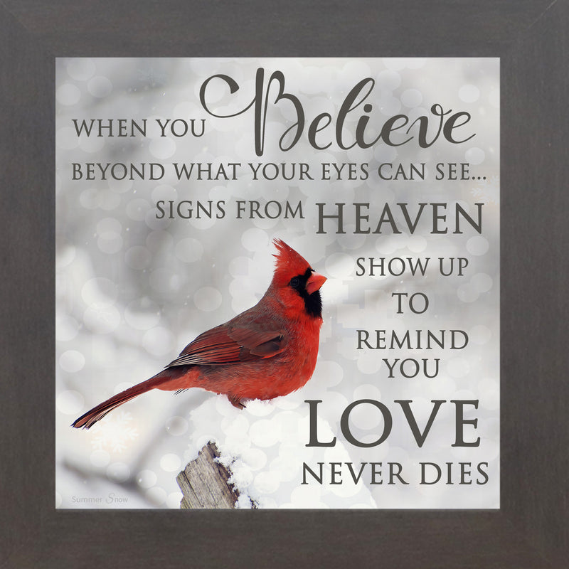 When You Believe by Summer Snow SS6848