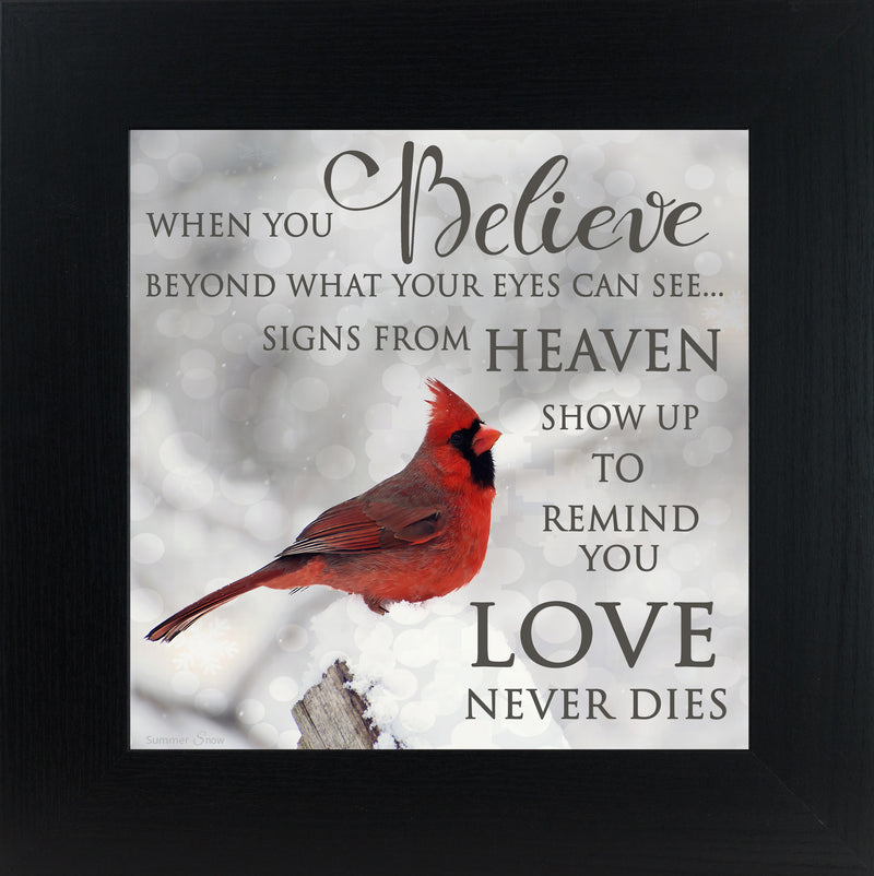 When You Believe by Summer Snow SS6848