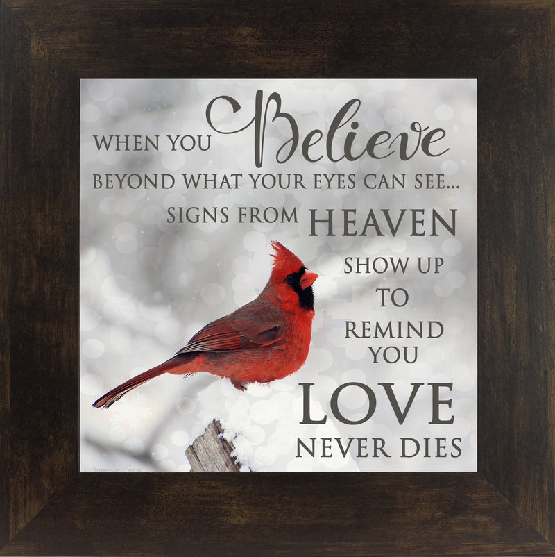 When You Believe by Summer Snow SS6848