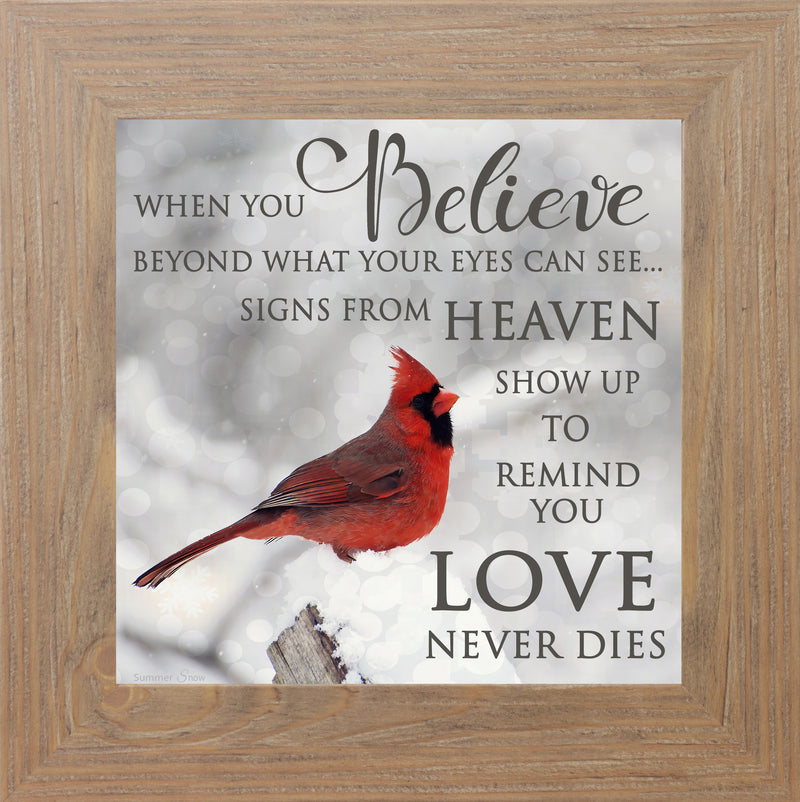 When You Believe by Summer Snow SS6848