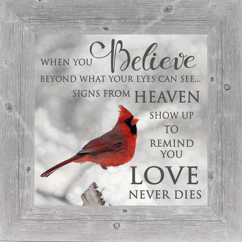 When You Believe by Summer Snow SS6848