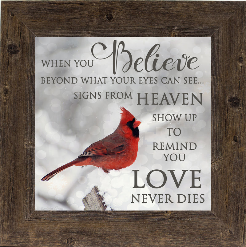 When You Believe by Summer Snow SS6848