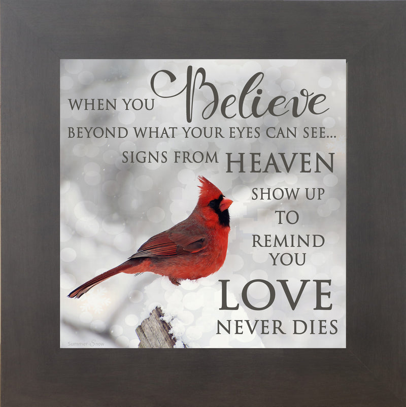 When You Believe by Summer Snow SS6848