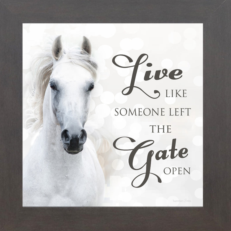 Live Like Someone Left the Gate Open by Summer Snow SS838