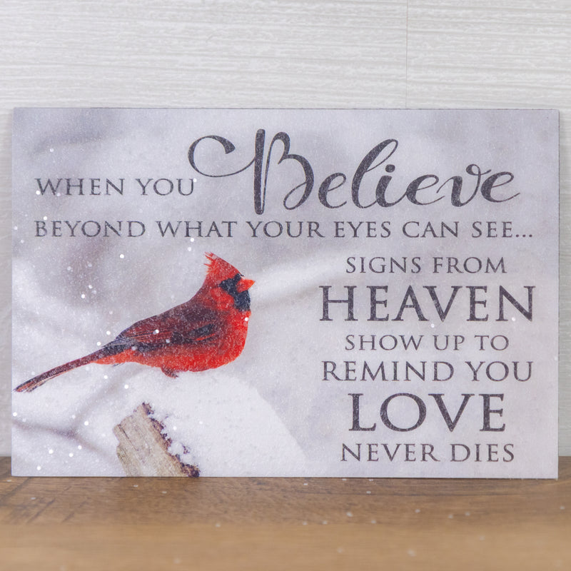 When You Believe Beyond What Your Eyes Can See Magnet - SS9754M