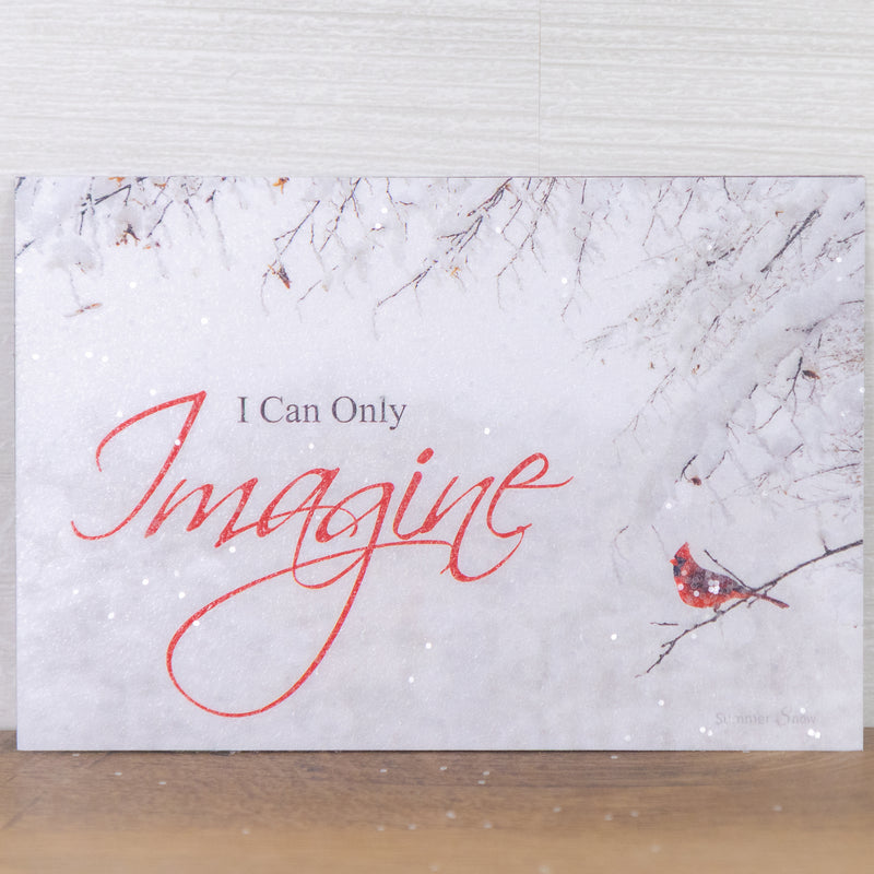 I Can Only Imagine Magnet - SSA13M