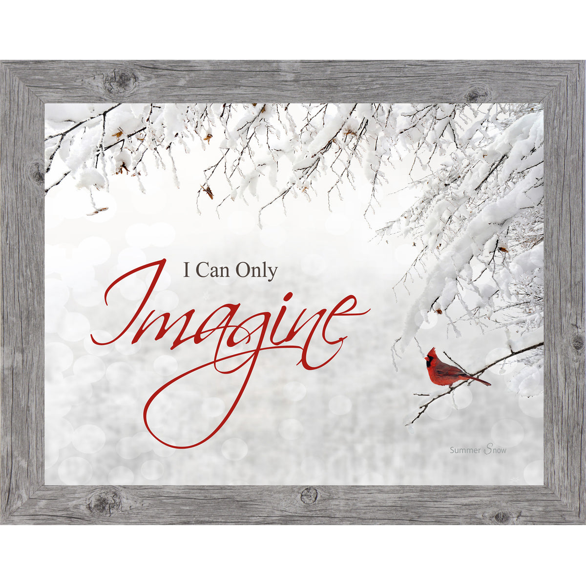 Framed winter cardinal wall art with the phrase "I Can Only Imagine" and a red bird on a snowy tree branch