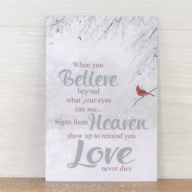 When You Believe Magnet - SSA14M