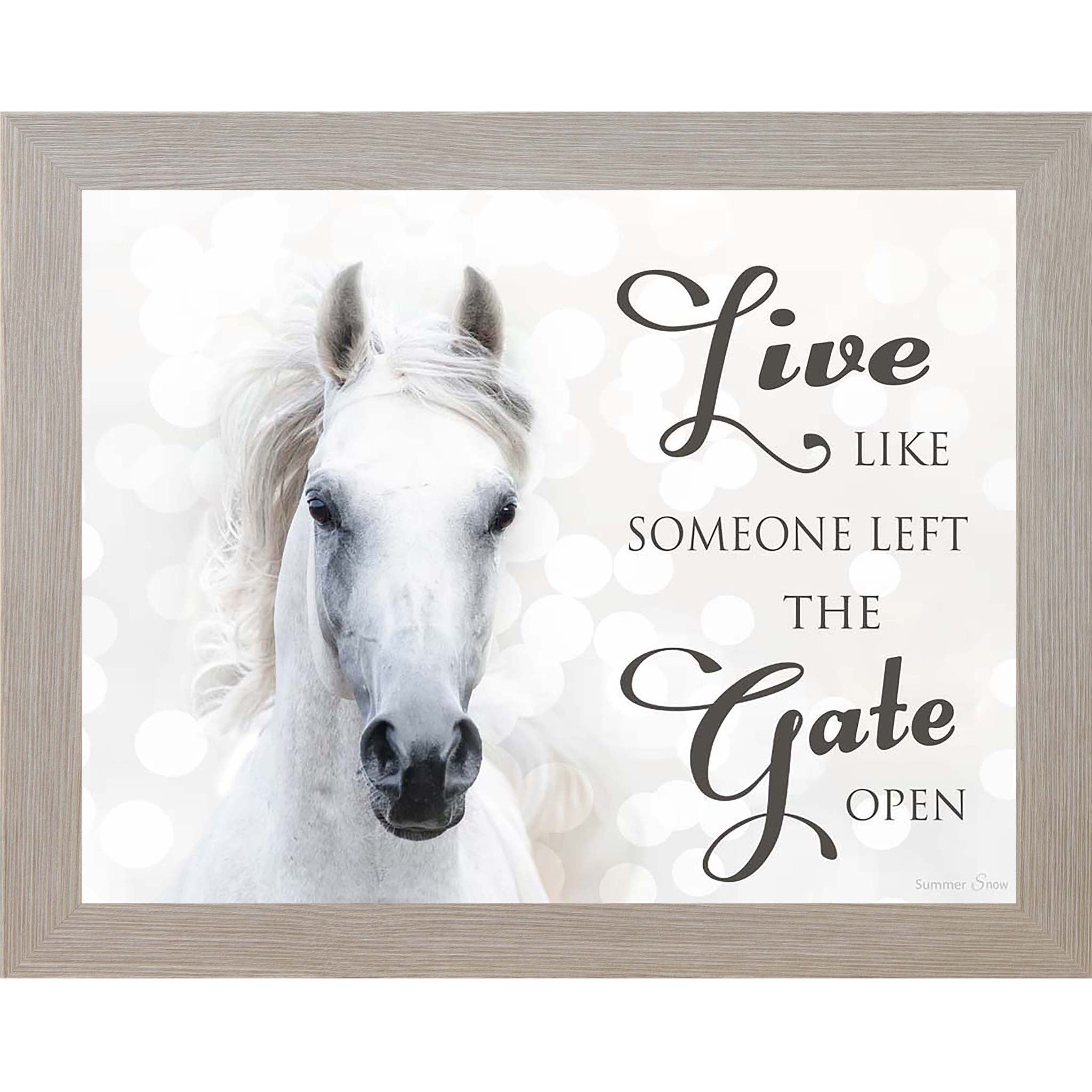 Live Like Someone Left the Gate Open – White Horse Inspirational Framed Wall Art (SSW9819)