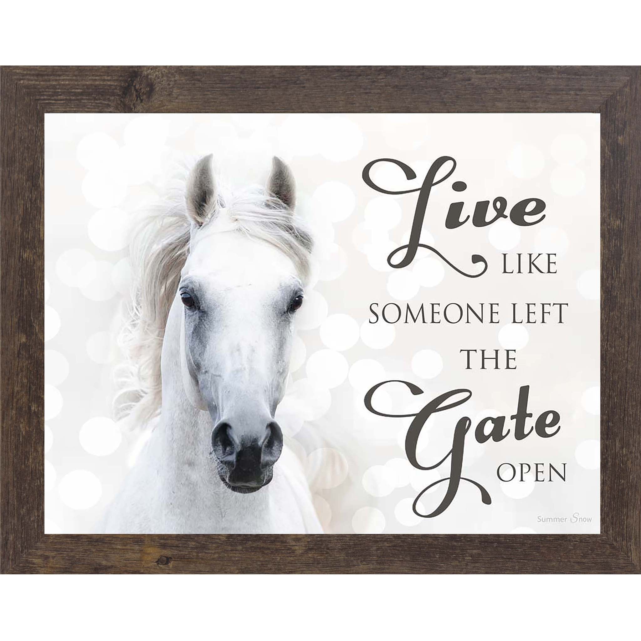 Live Like Someone Left the Gate Open – White Horse Inspirational Framed Wall Art (SSW9819)