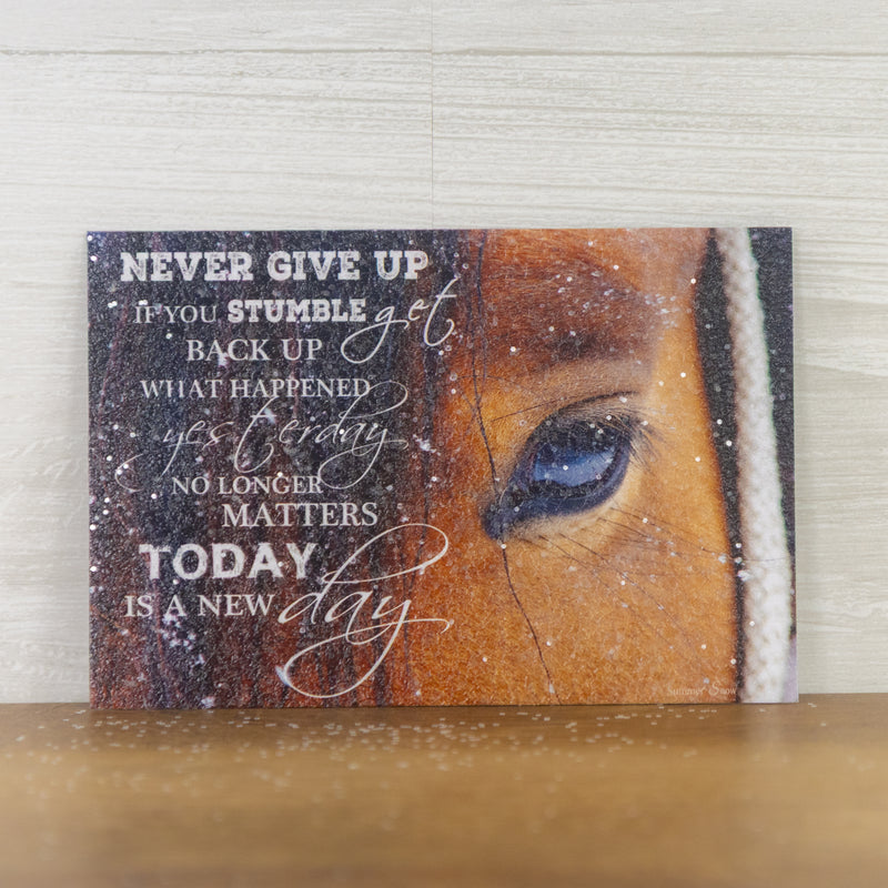 Never Give Up magnet – 4x6 horizontal close-up of horse’s face with inspirational perseverance quote, glittered acrylic finish