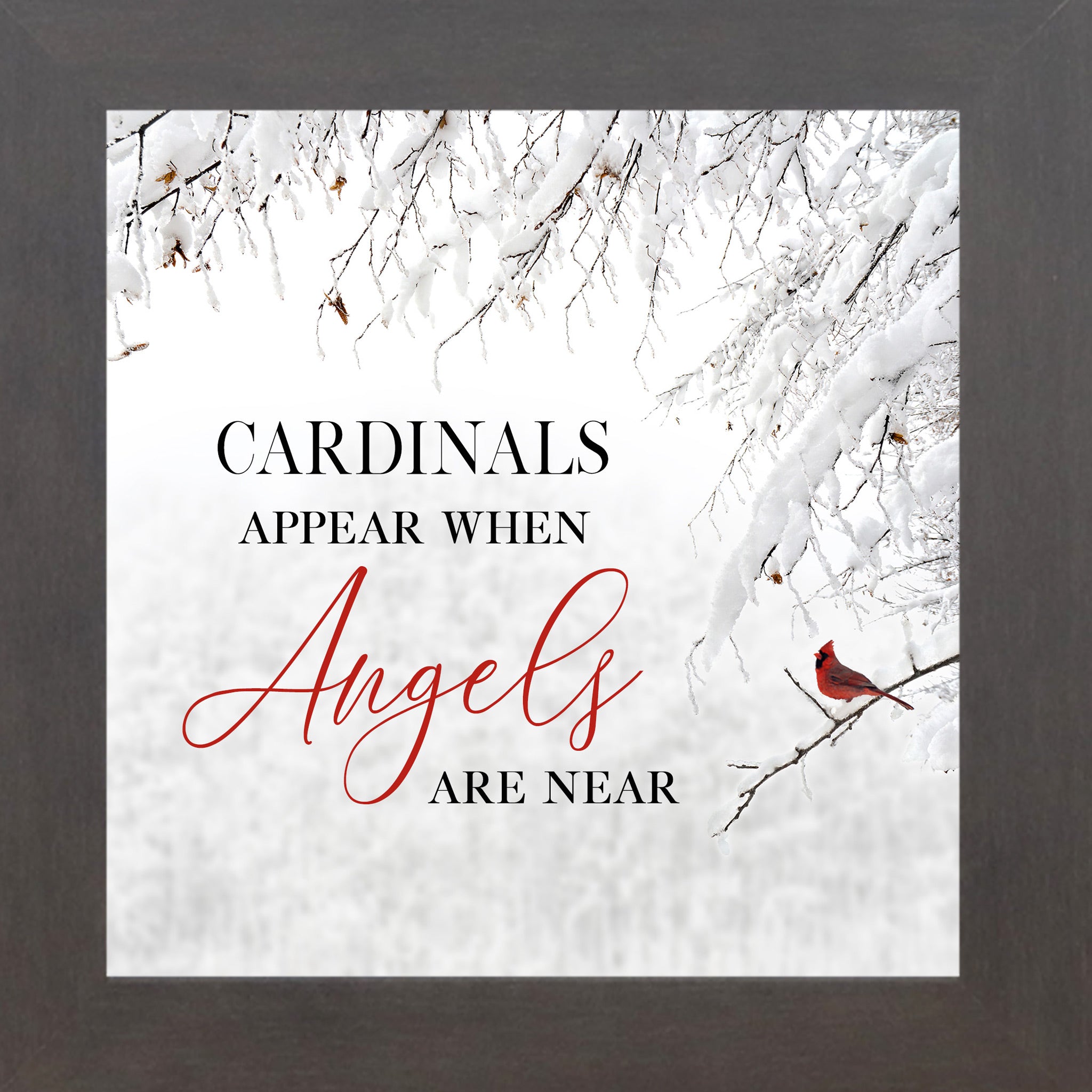 Slatewood framed square cardinal sympathy wall art featuring a red cardinal perched on snow-covered winter branches with the words "Cardinals Appear When Angels Are Near" — SS856