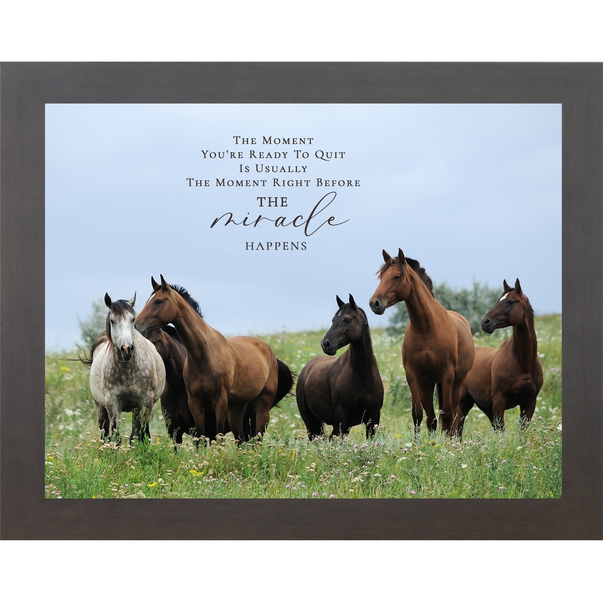 Slatewood framed landscape inspirational horse wall art with five horses standing alert in a wildflower meadow with blue sky and the quote The Moment You're Ready to Quit Is Usually the Moment Right Before the Miracle Happens