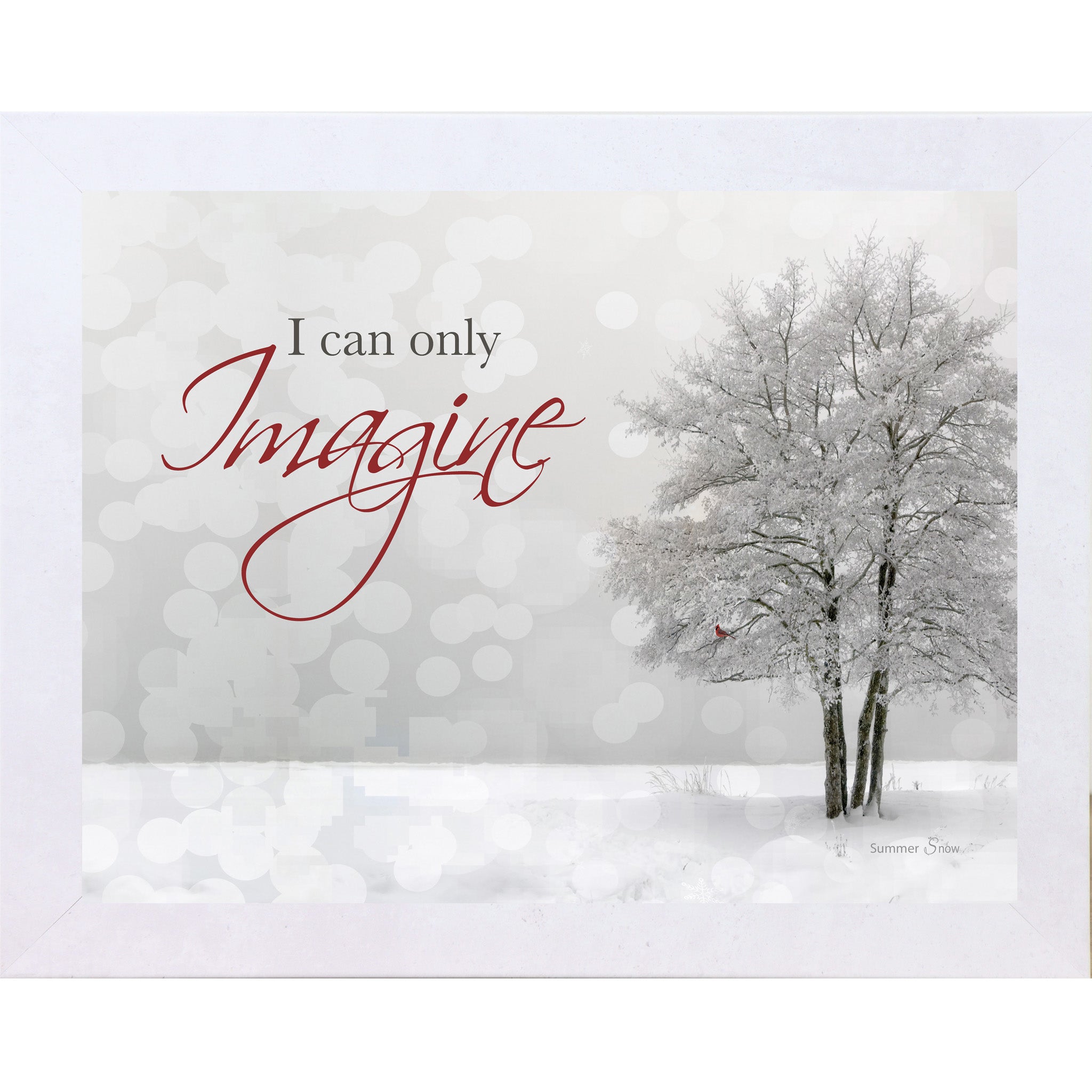 I Can Only Imagine – Cardinal Winter Framed Wall Art | Faith & Remembrance Decor (SSA09)