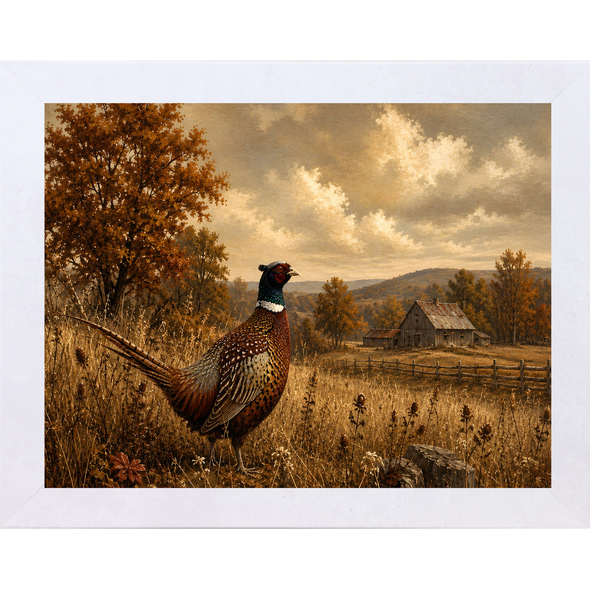 Terracotta White framed landscape vintage sporting wall art featuring a ring-necked pheasant standing in a golden autumn field with a barn in the distance
