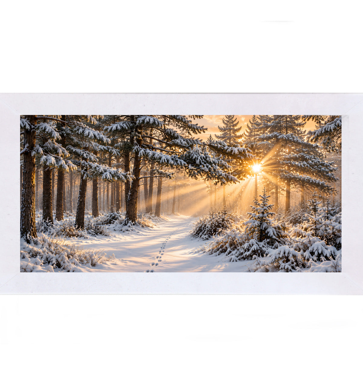 Snowy forest sunrise wall art in a terracotta white frame, snowy pine trees with sunrise glow