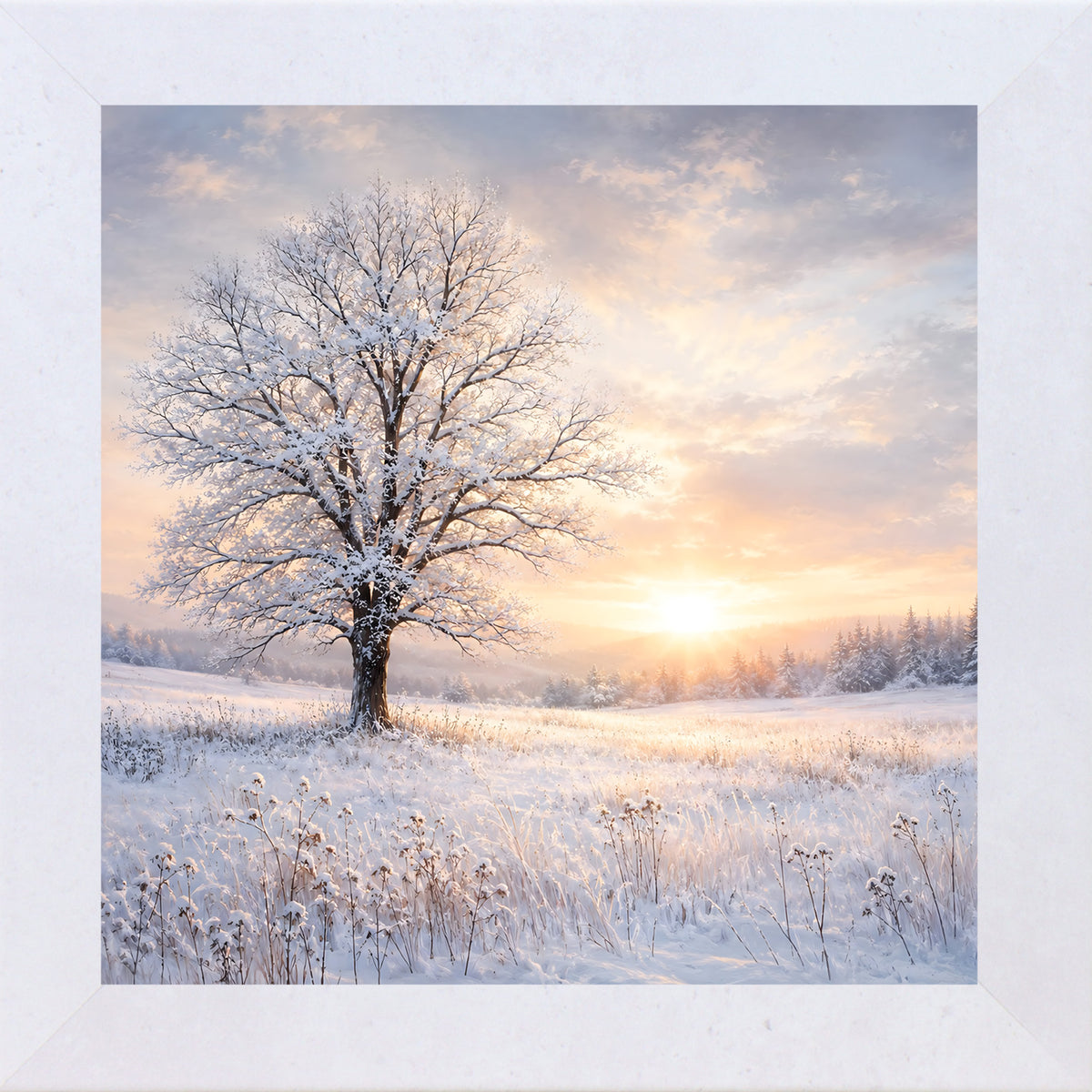Terracotta White framed square winter wall art featuring a snow-dusted tree against a glowing sunset over a snowy field