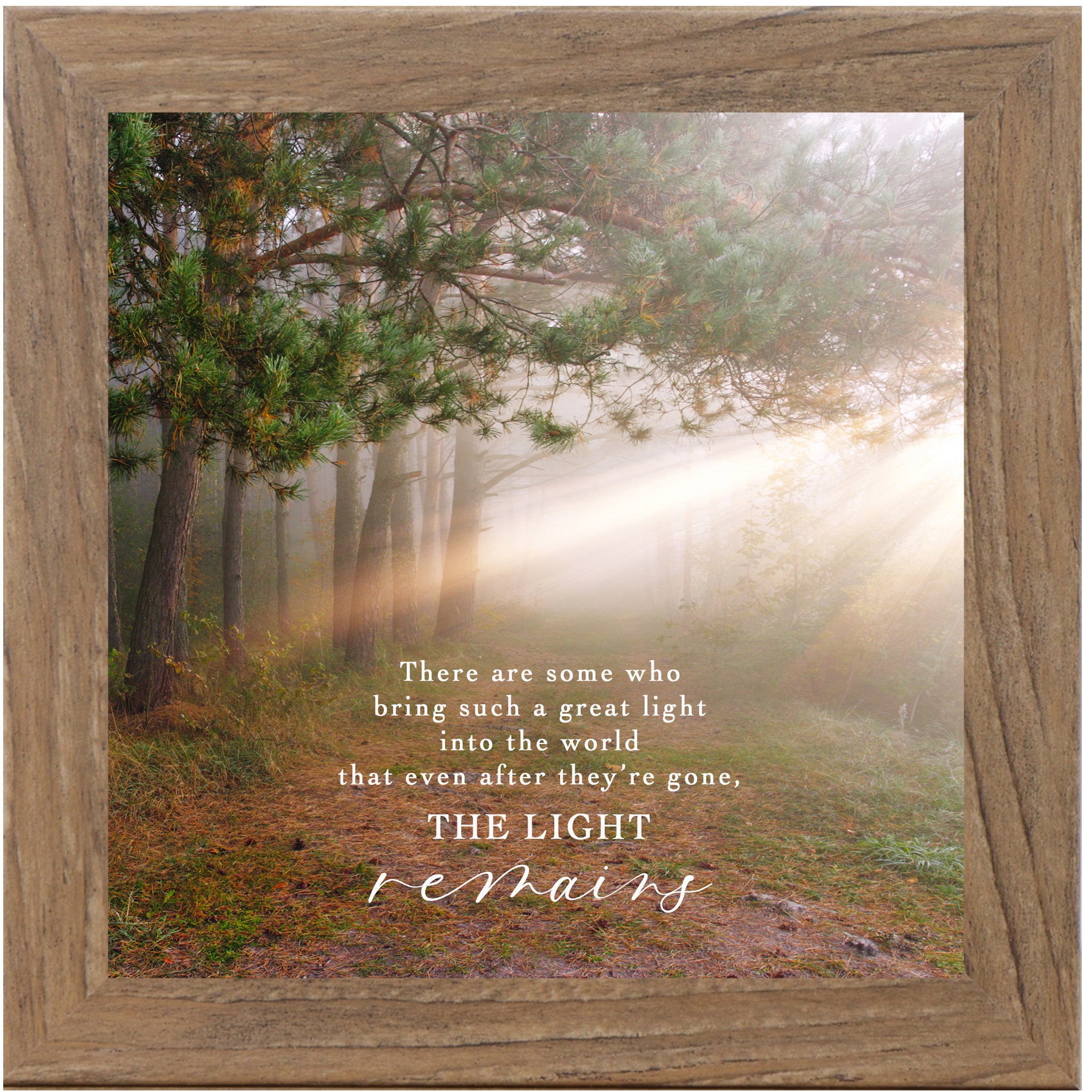Inspirational framed wall art featuring The Light Remains quote over a sunlit forest scene with warm golden light, neutral nature decor by Summer Snow
