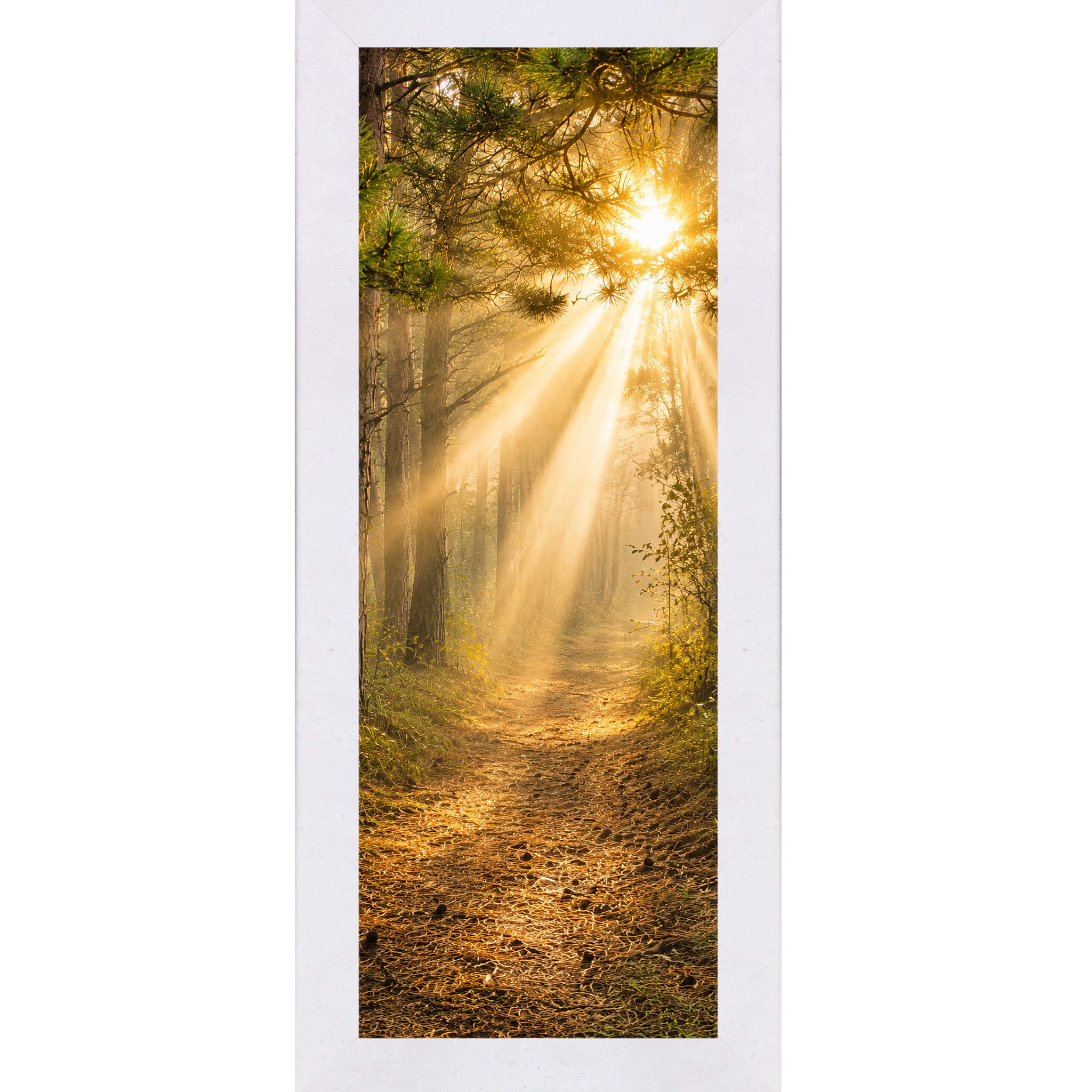 Terracotta White framed narrow portrait nature wall art featuring a divine forest path with golden sunlight rays streaming through pine tree canopy toward a glowing sun in warm sacred morning light