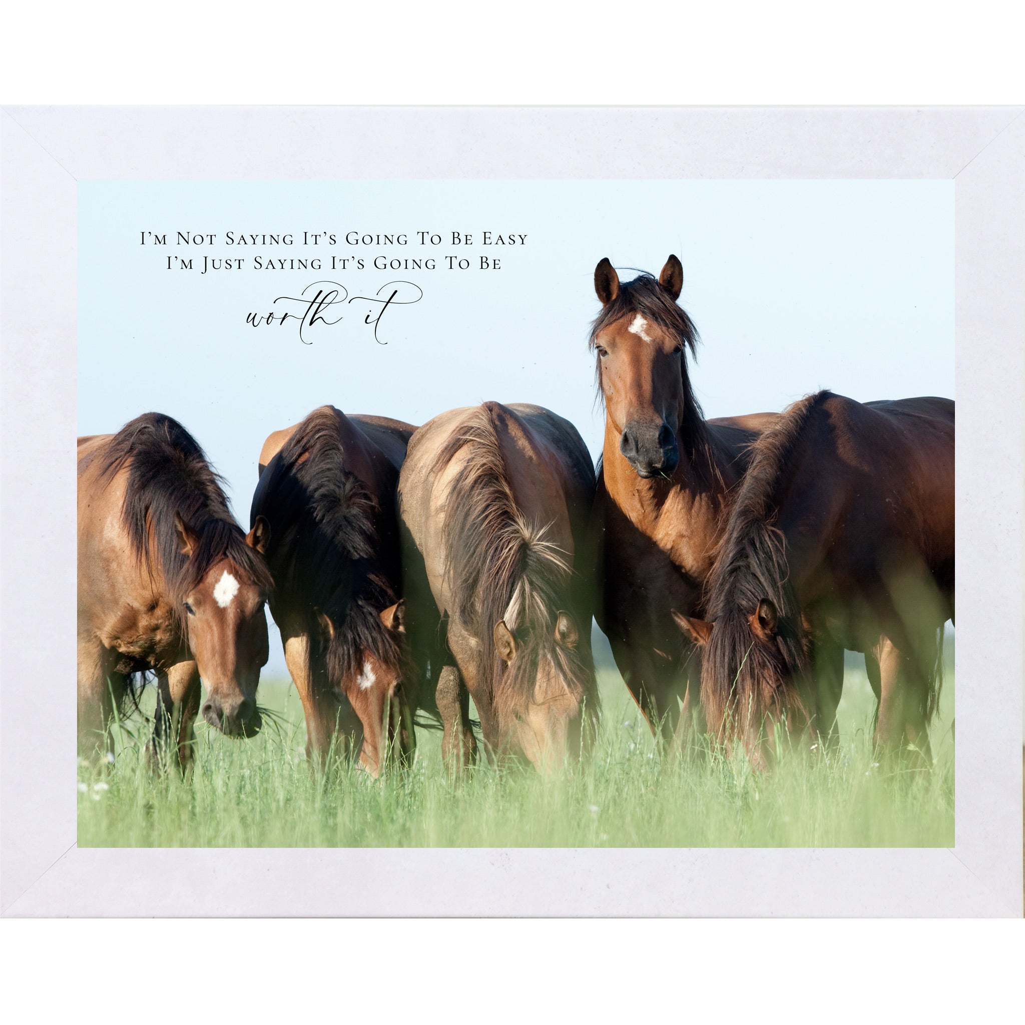 Terracotta white framed landscape inspirational horse wall art with four bay horses grazing in a green summer field with the quote I'm Not Saying It's Going to Be Easy I'm Just Saying It's Going to Be Worth It