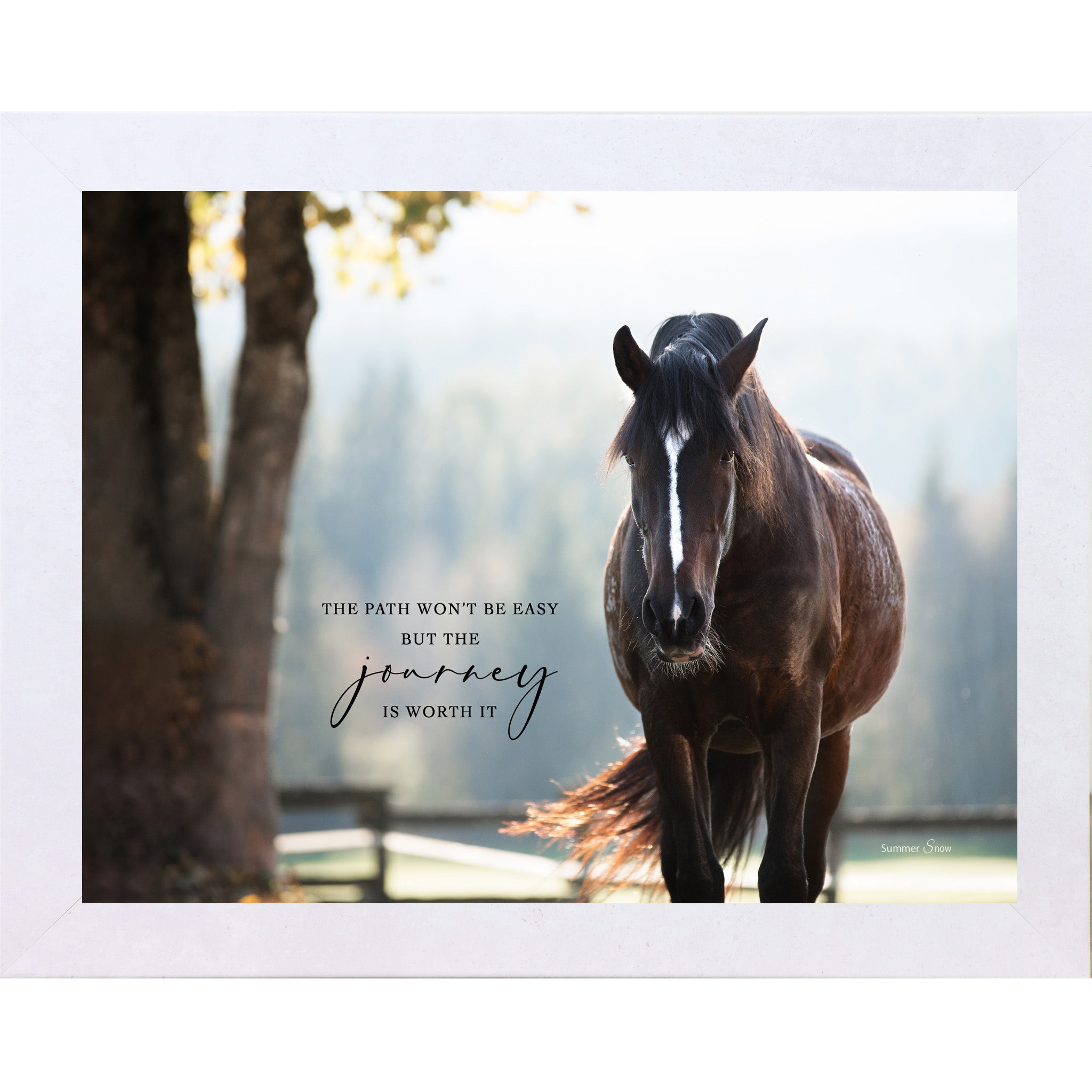 Terracotta White framed landscape equine wall art with realistic dark bay horse in dappled sunlight with the quote "The Path Won't Be Easy But the Journey Is Worth It"