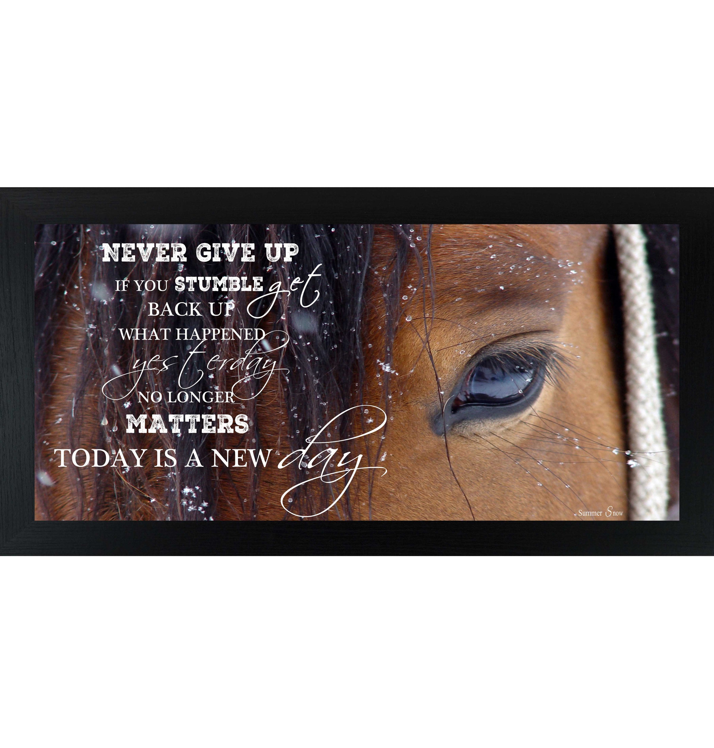 Never Give Up SSW1865