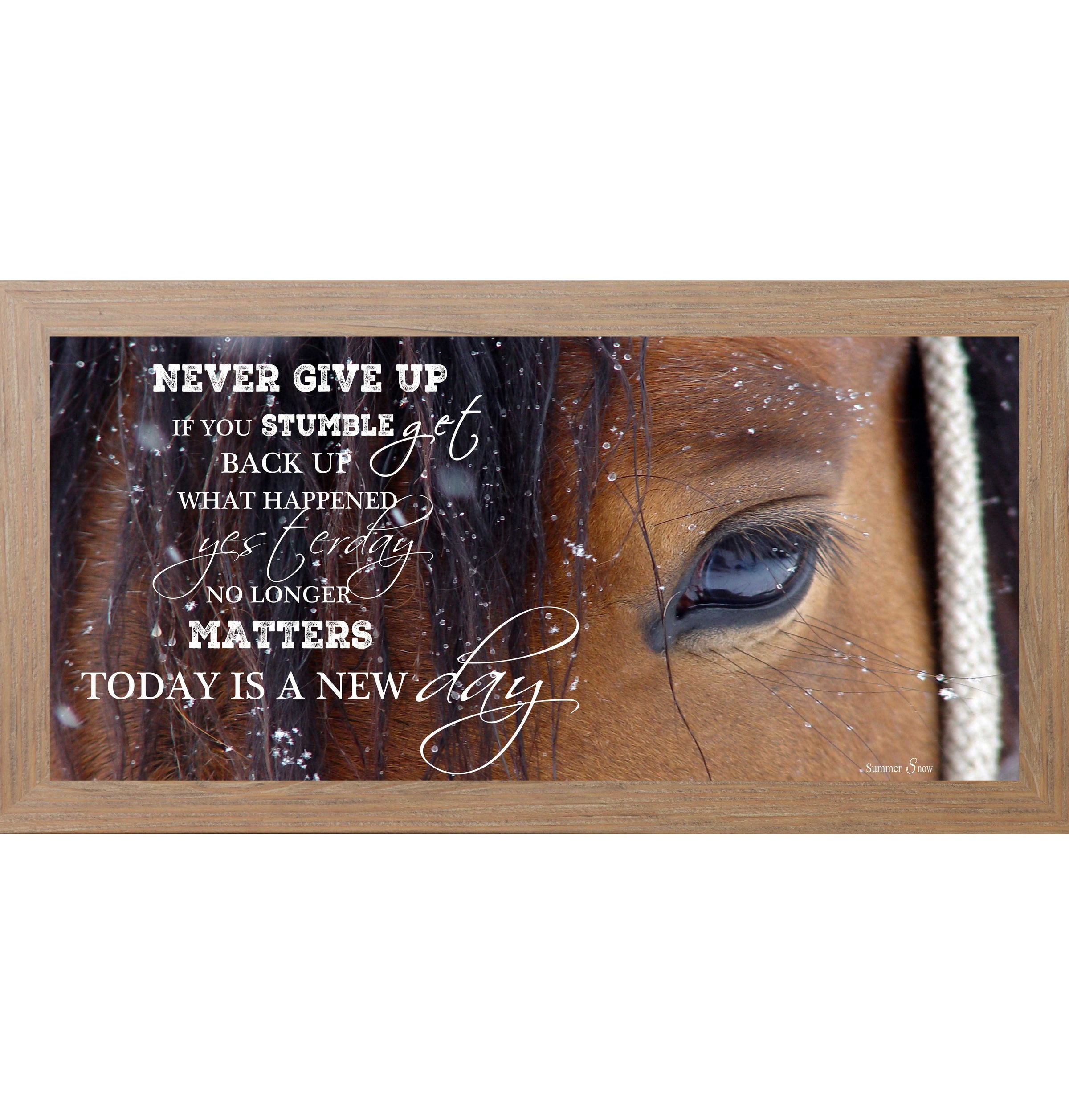 Never Give Up SSW1865