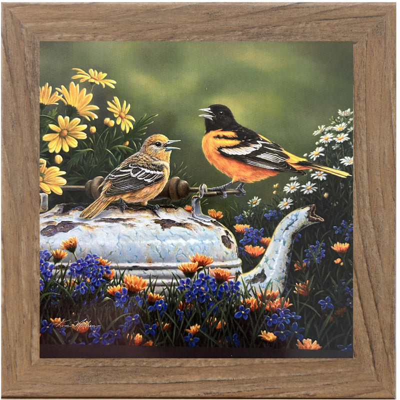 Orioles In The Garden by Kim Norlien KN48