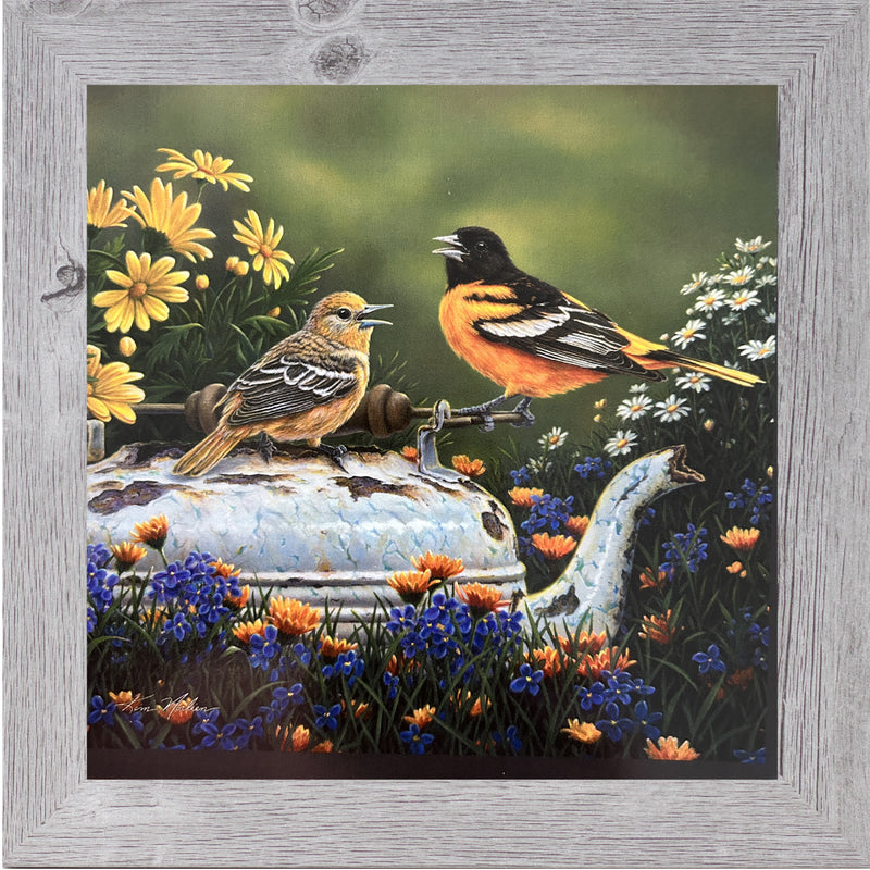 Orioles In The Garden by Kim Norlien KN48