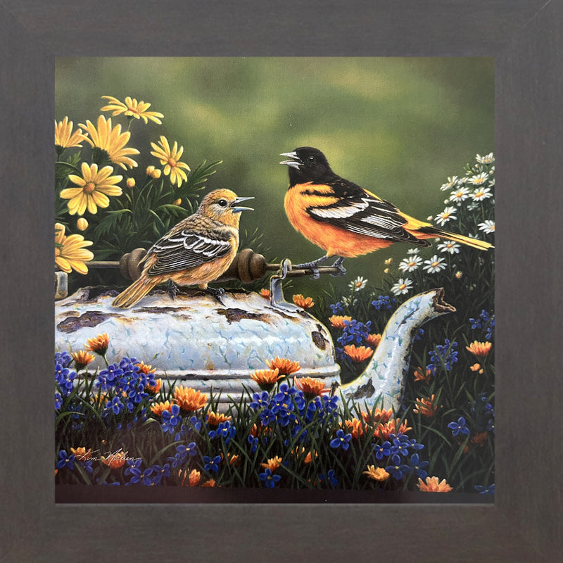 Orioles In The Garden by Kim Norlien KN48